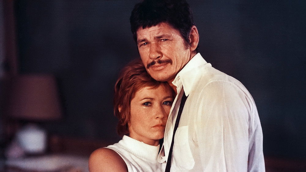 雨中的乘客,Le passager de la pluie(1970电影)