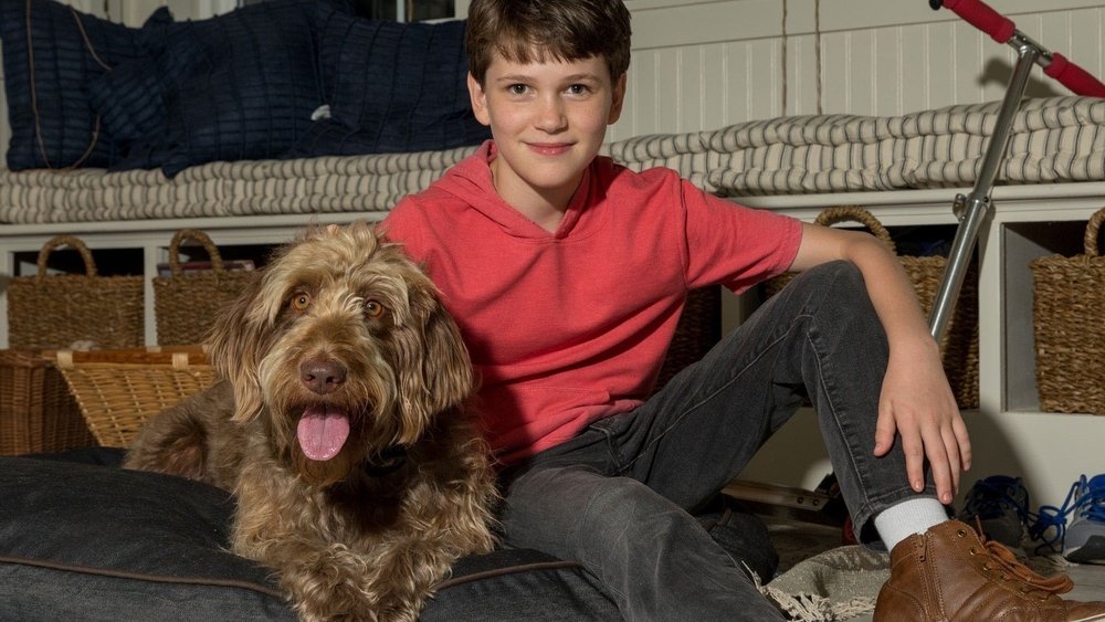 Denke wie ein Hund