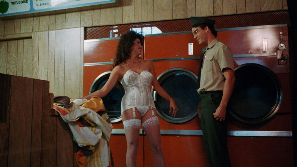 金牌女警,Vice Academy(1989电影)