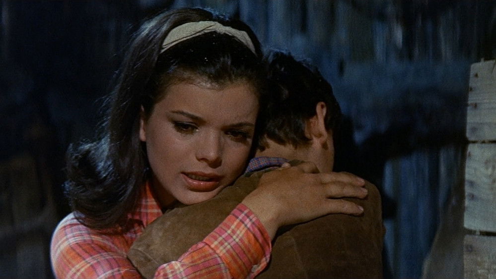 温尼托与混血儿,Winnetou und das Halbblut Apanatschi(1966电影)