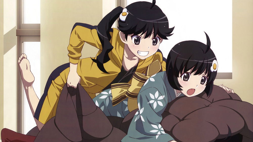 物语系列,化物語(2009日本动漫)