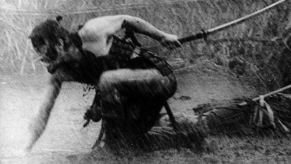 七武士,七人の侍(1954电影)