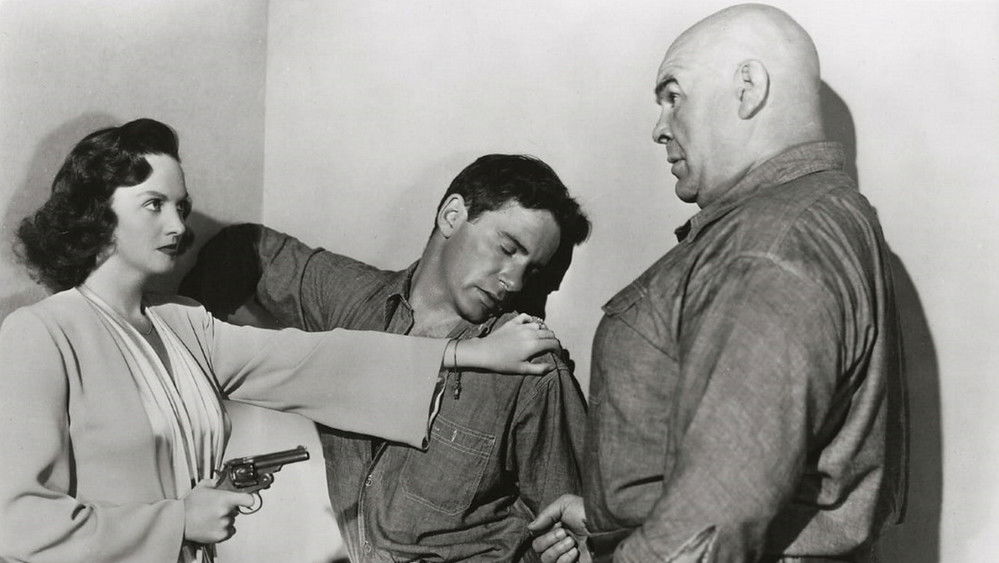 重门紧锁,Behind Locked Doors(1948电影)