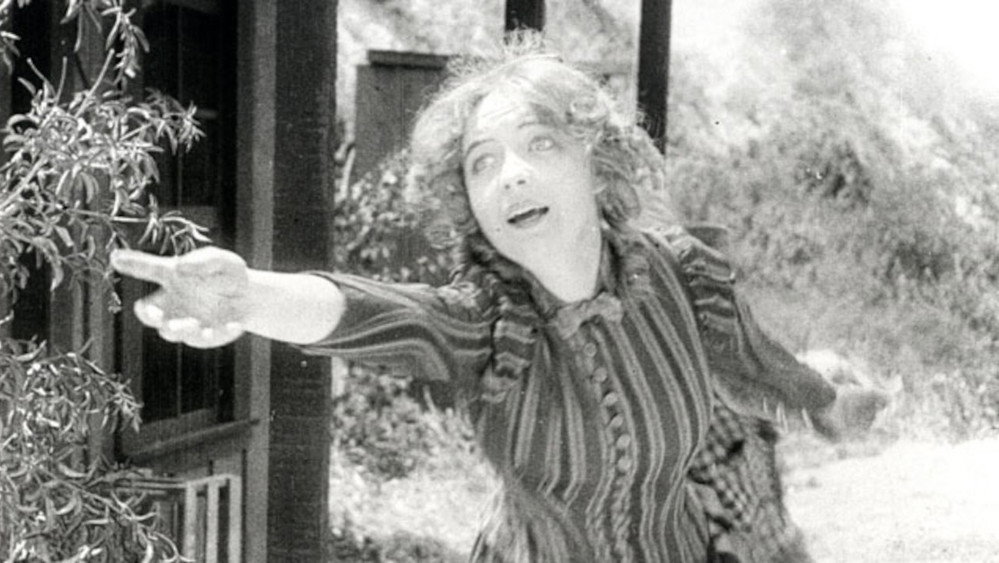 艾德布许峡谷之战,The Battle at Elderbush Gulch(1913电影)