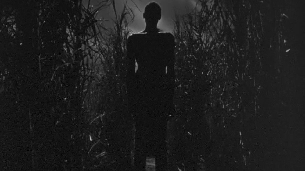 与僵尸同行,I Walked with a Zombie(1943电影)