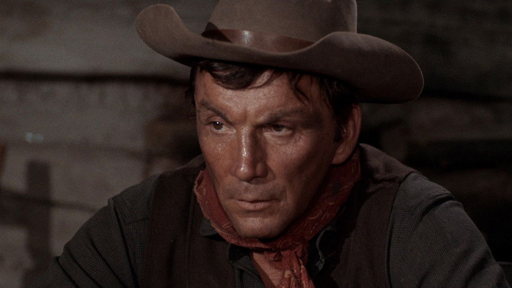 旋风骑士,Ride in the Whirlwind(1966电影)