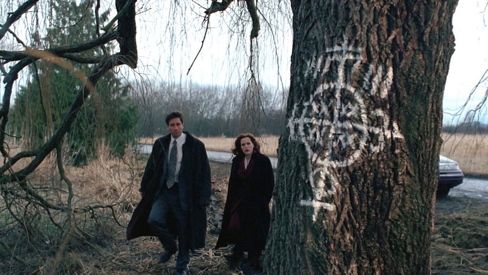 X档案,The X-Files(1993电视剧集)