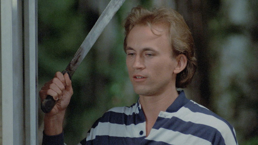 血色狂怒,Nightmare at Shadow Woods(1987电影)