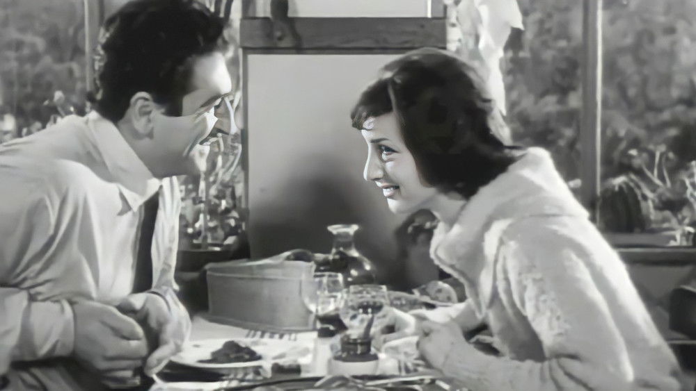 好女人们,Les bonnes femmes(1960电影)