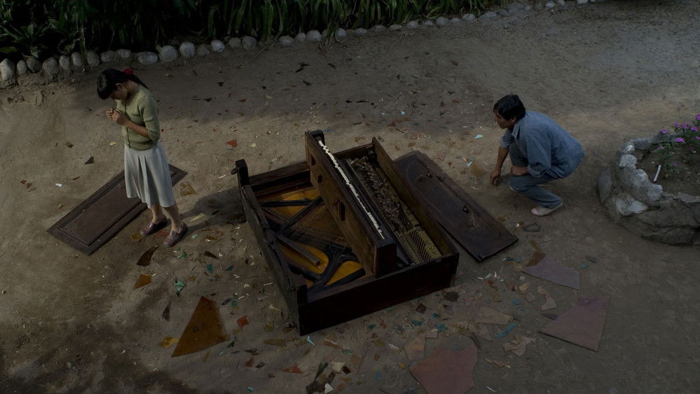 伤心的奶水,La teta asustada(2009电影)