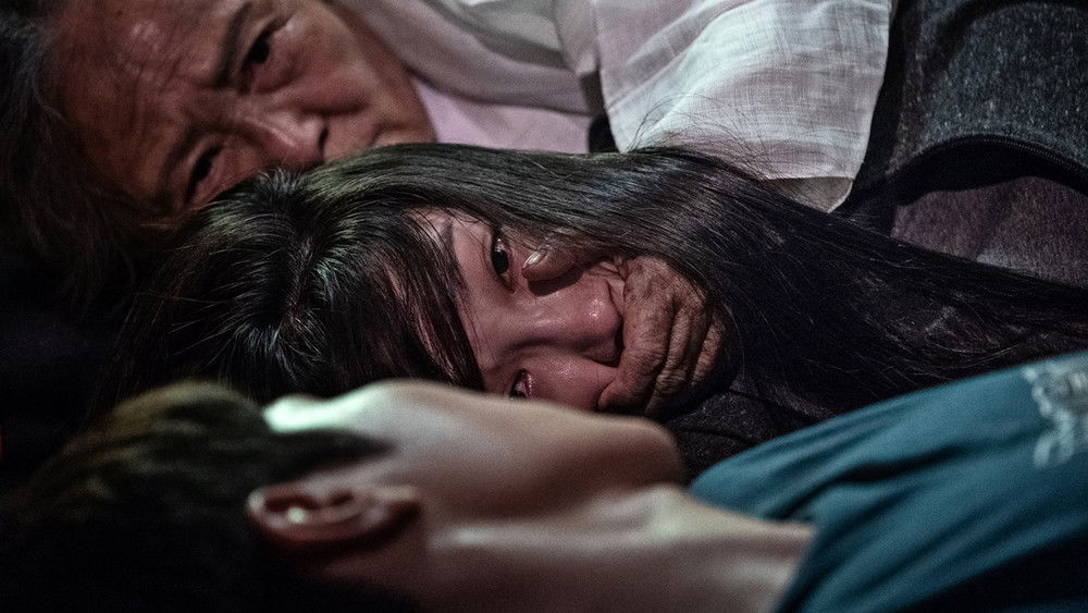 0.0兆赫,0.0MHz(2019电影)