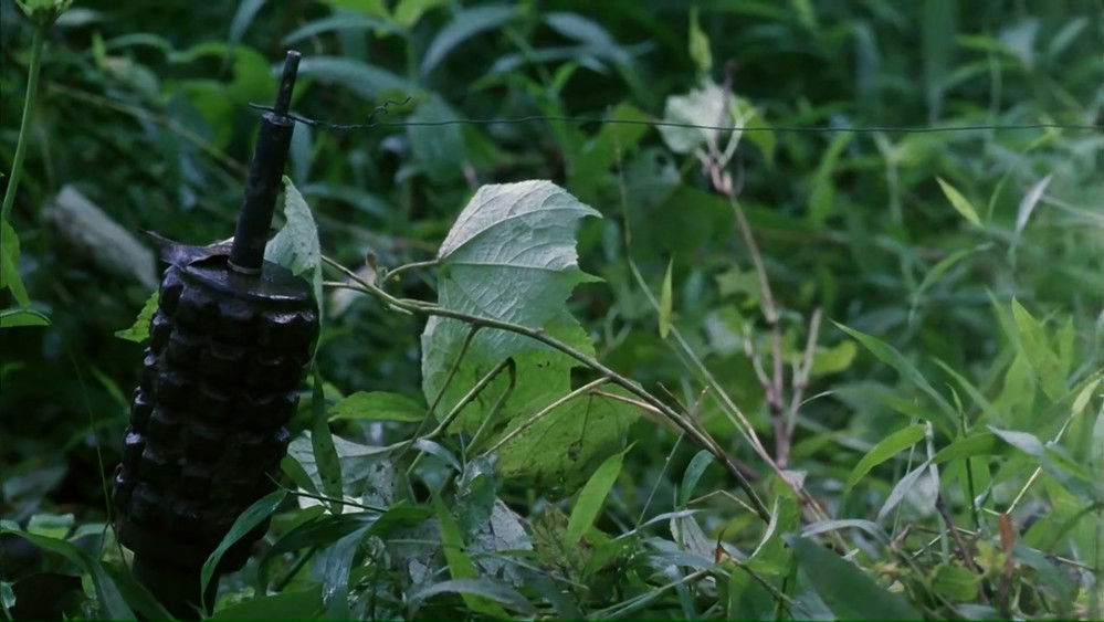 征服死亡地带(1996电影)