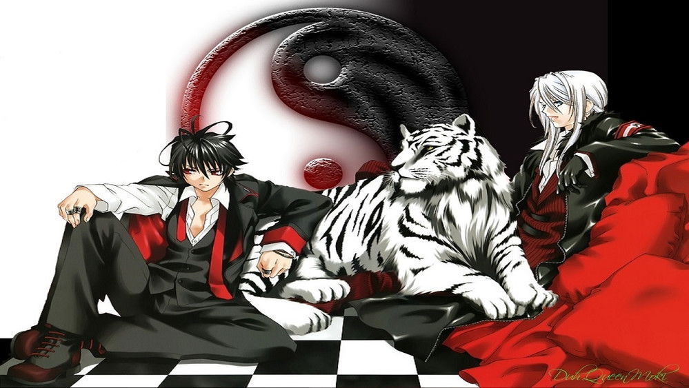 幻影少年,モノクローム•ファクター(2008日本动漫)