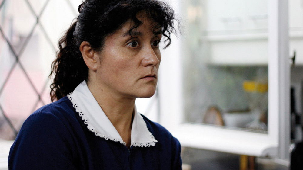 女佣,La nana(2009电影)