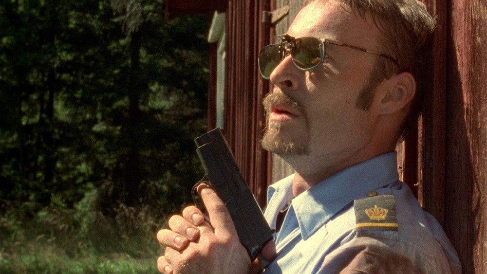 条子骇客,Kopps(2003电影)