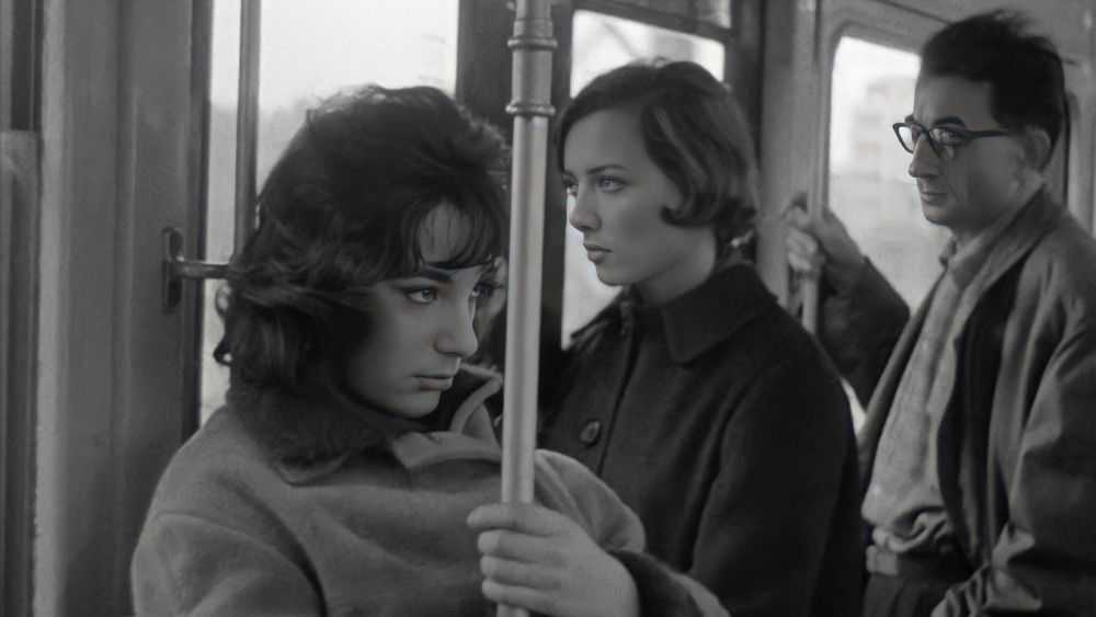 好女人们,Les bonnes femmes(1960电影)