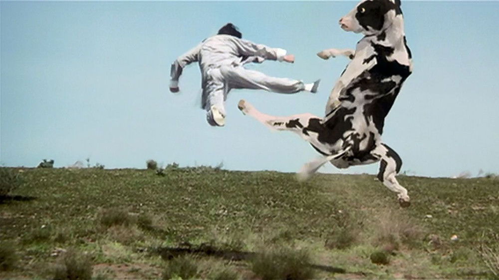 昆宝出拳,Kung Pow: Enter the Fist(2002电影)