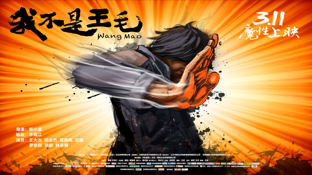 我不是王毛(2016电影)