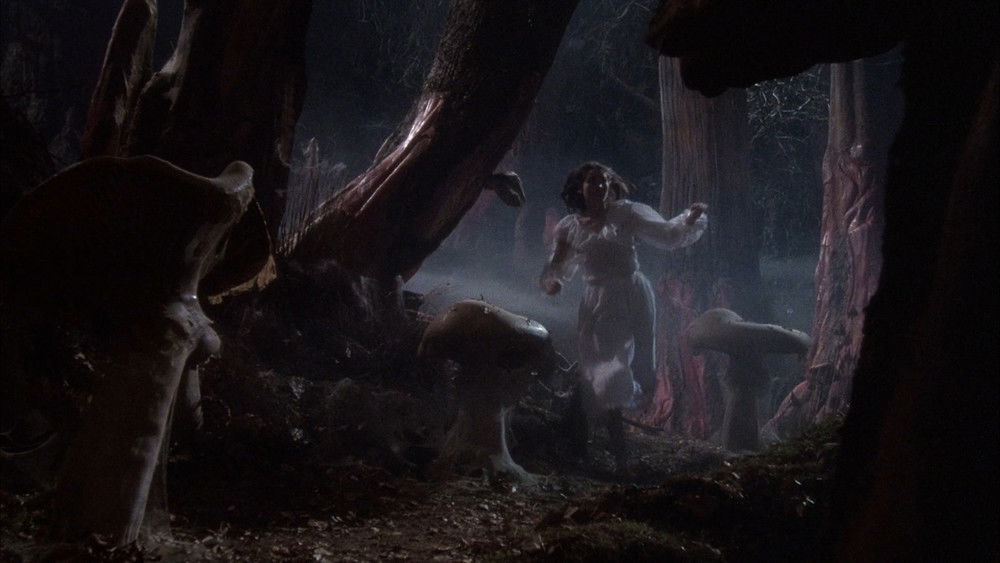 狼之一族,The Company of Wolves(1984电影)