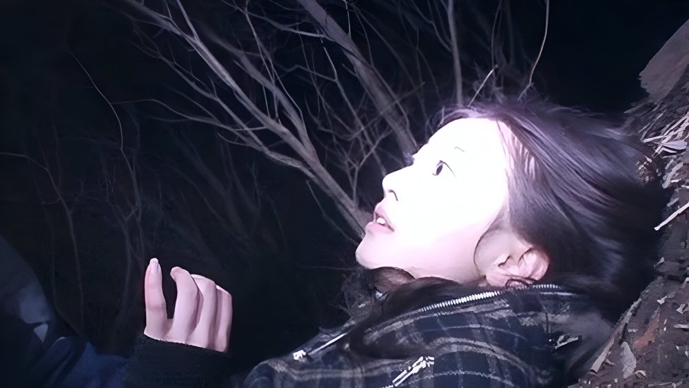 灵异咒,ノロイ(2005电影)