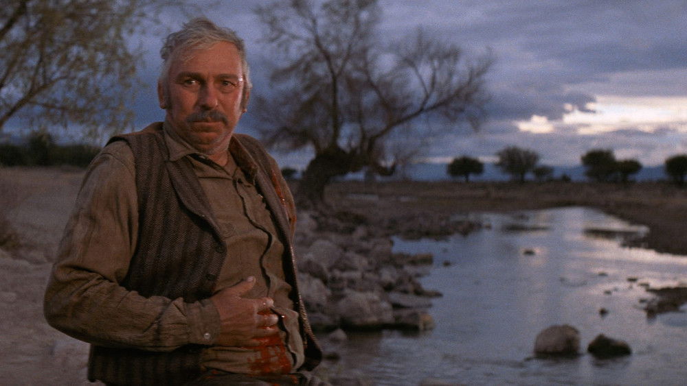 比利小子,Pat Garrett & Billy the Kid(1973电影)