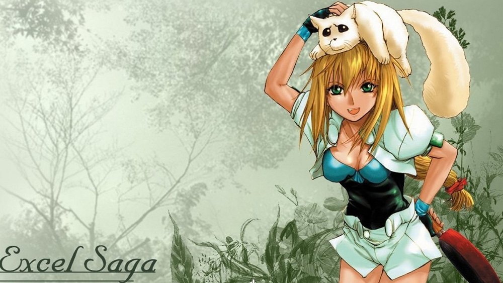 恶搞实验动画 迷糊女战士,へっぽこ実験アニメーション　エクセル♥サーガ(1999日本动漫)