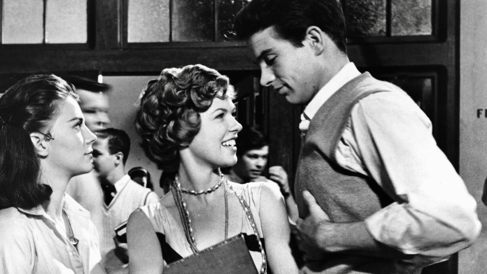 天涯何处觅知音,Splendor in the Grass(1961电影)