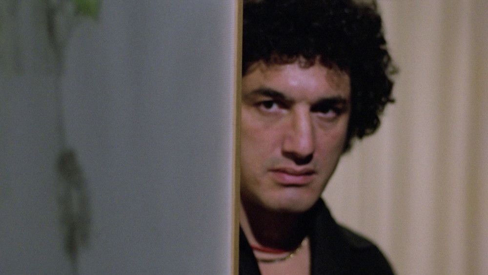 公园旁的凶屋,La casa sperduta nel parco(1980电影)