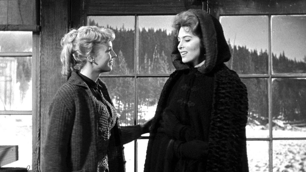 无法无天的日子,Day of the Outlaw(1959电影)