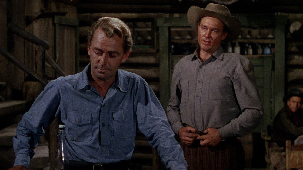 原野奇侠,Shane(1953电影)