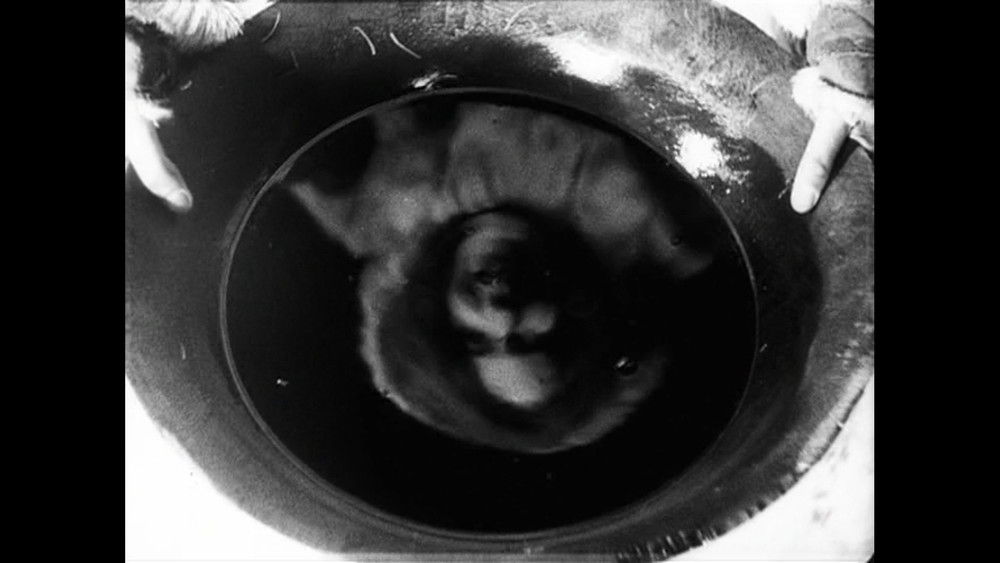 以法律之名,По закону(1926电影)