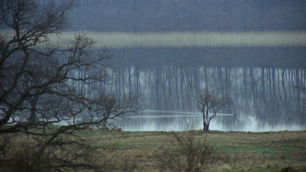 新大陆,Nybyggarna(1972电影)