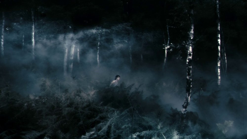 反基督者,Antichrist(2009电影)