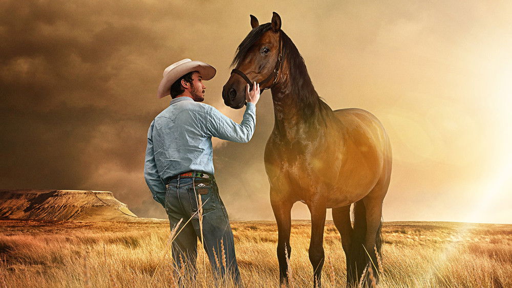 骑士,The Rider(2018电影)