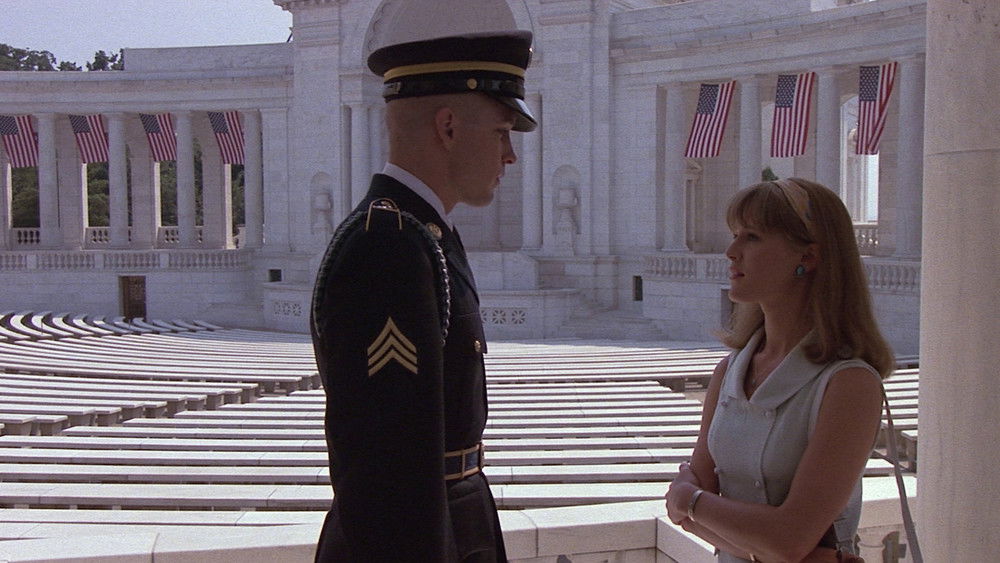 石花园,Gardens of Stone(1987电影)