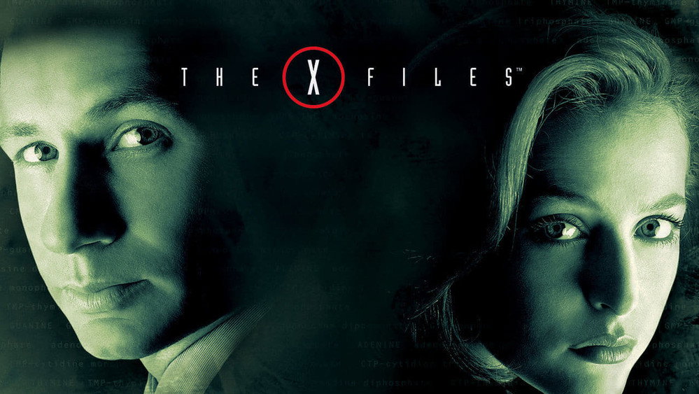 X档案,The X-Files(1993电视剧集)