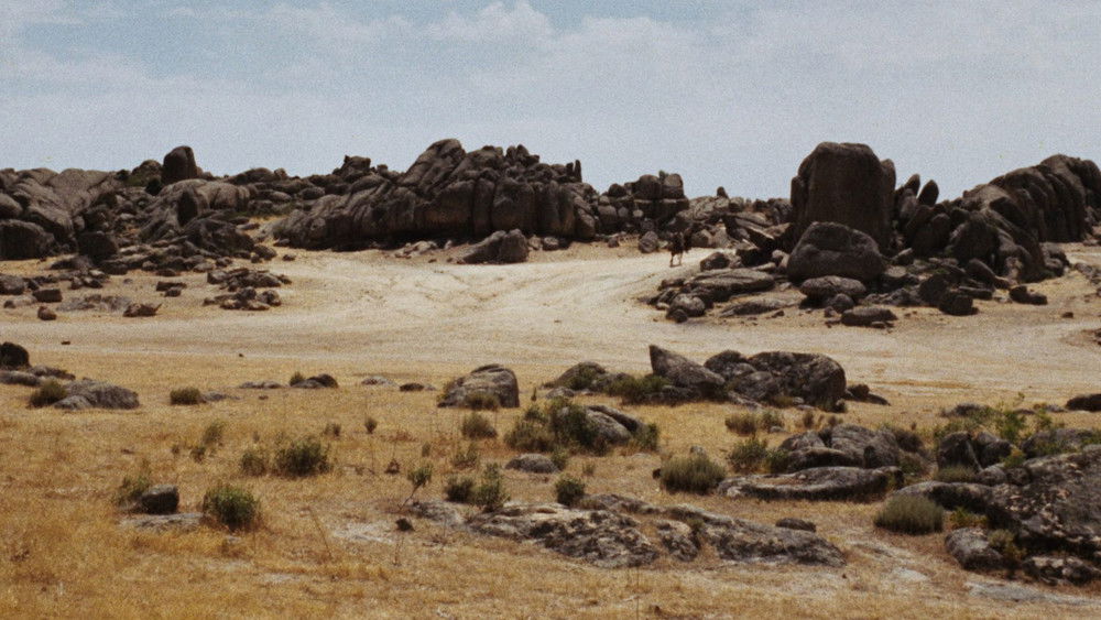 黄金三镖客,Il buono, il brutto, il cattivo(1966电影)