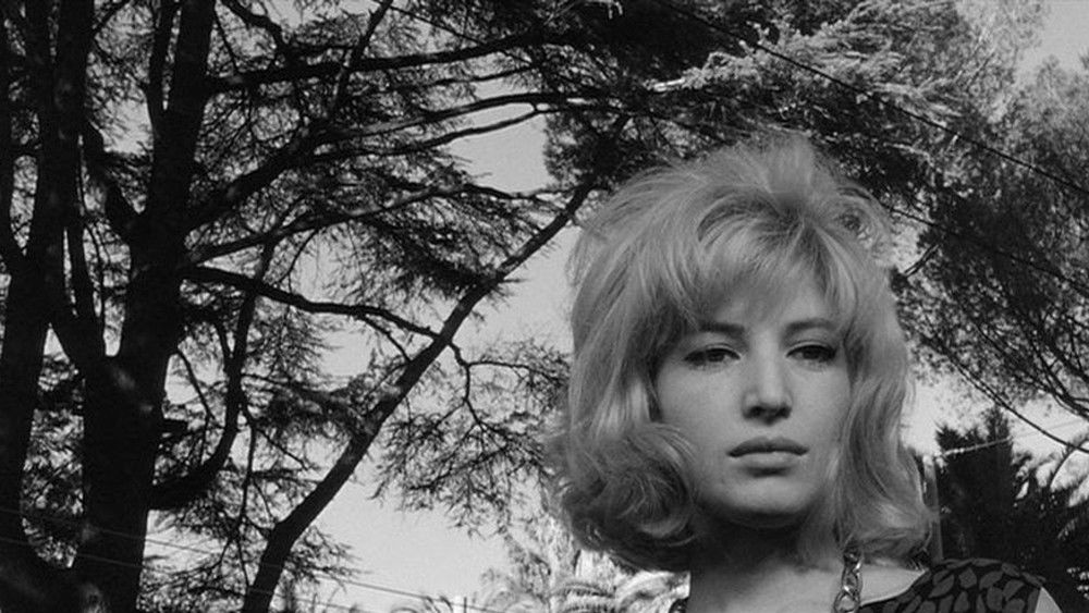 蚀,L'eclisse(1962电影)