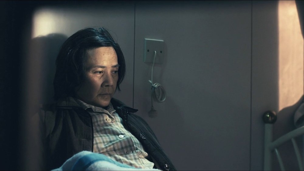 桃姐(2012电影)