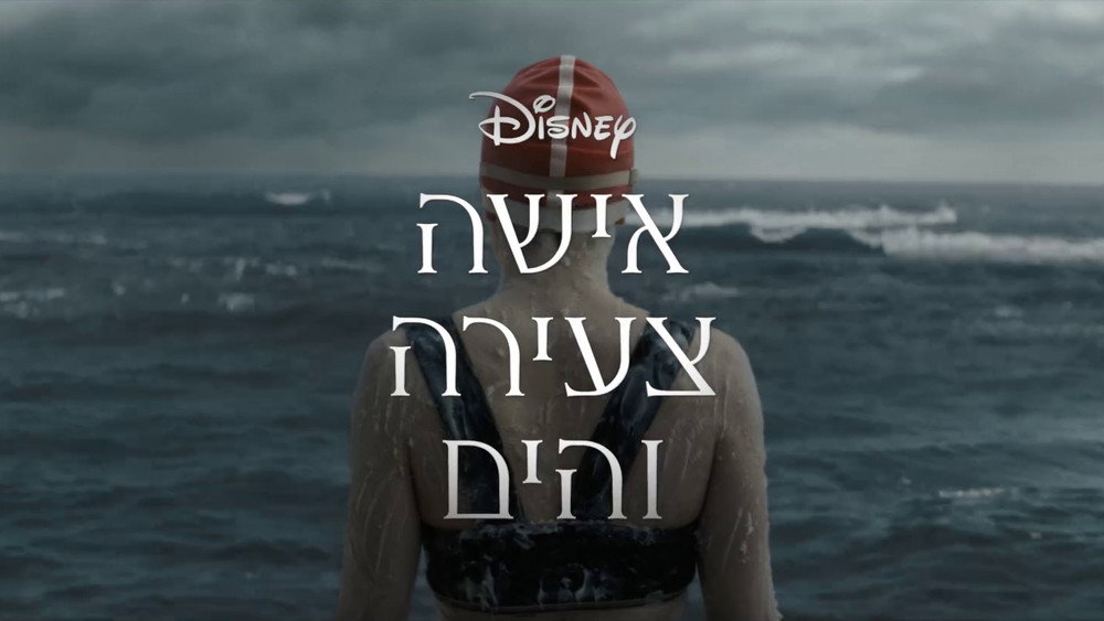 泳者之心,Young Woman and the Sea(2024电影)