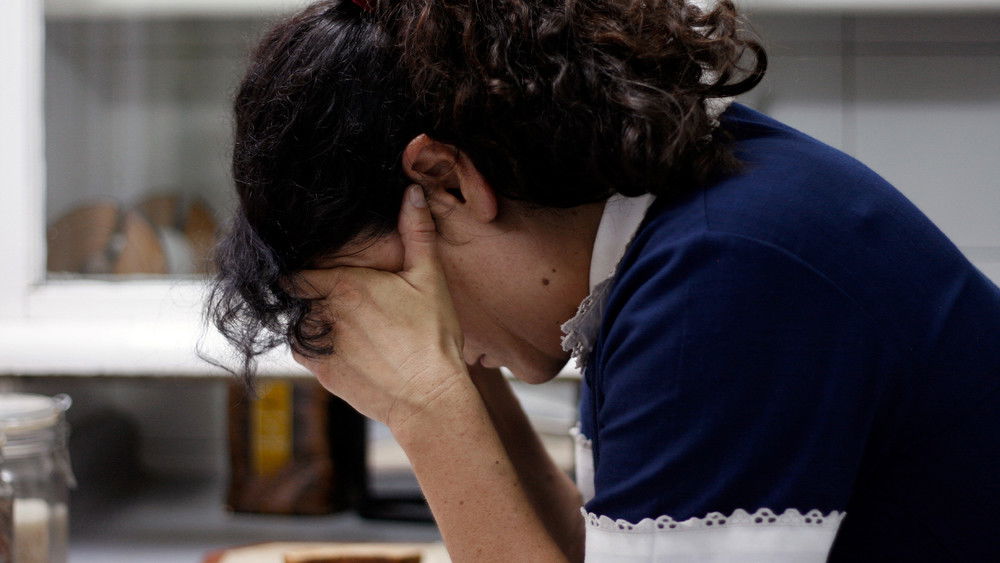 女佣,La nana(2009电影)