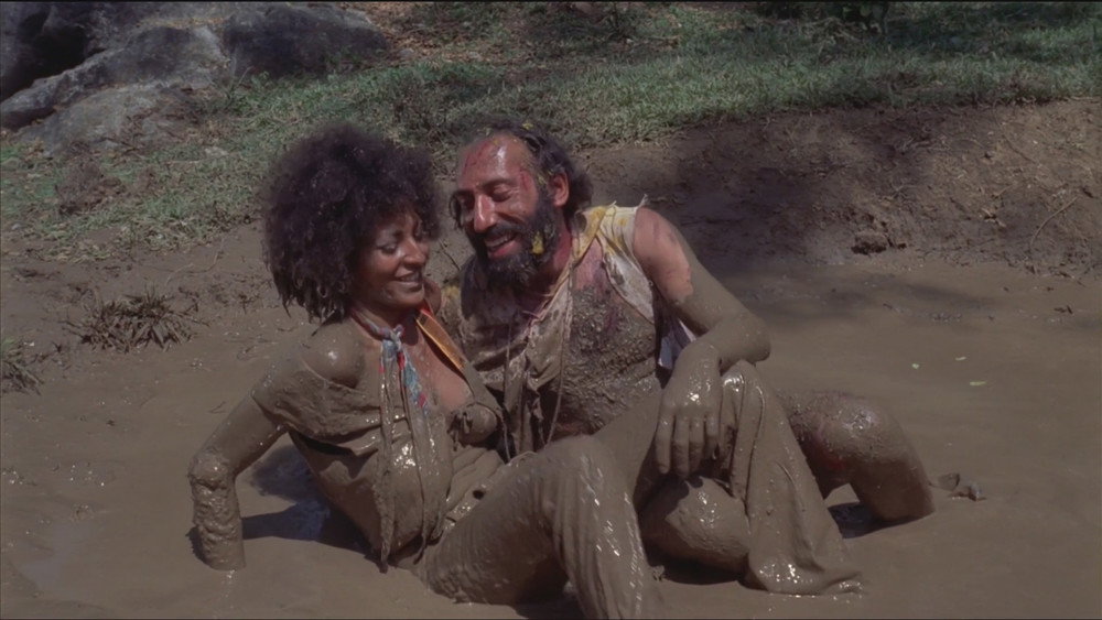 大鸟笼,The Big Bird Cage(1972电影)