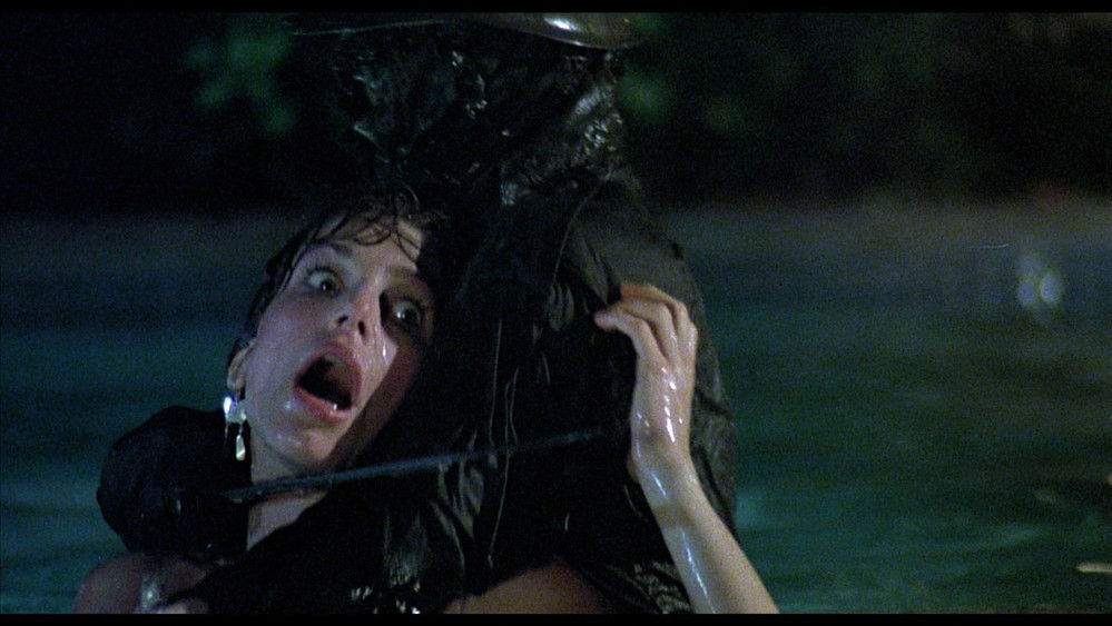 罗斯玛丽的杀手,The Prowler(1981电影)