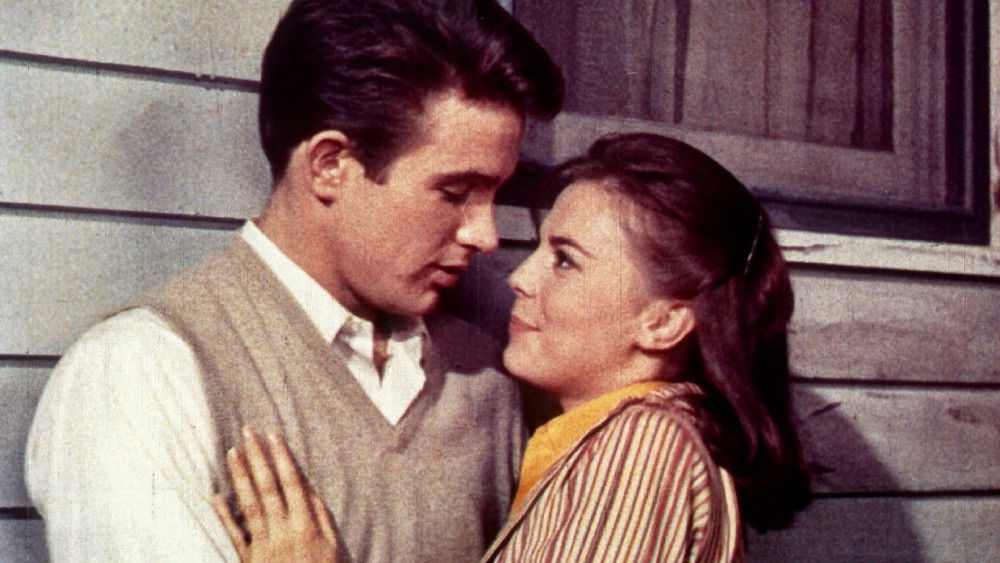 天涯何处觅知音,Splendor in the Grass(1961电影)