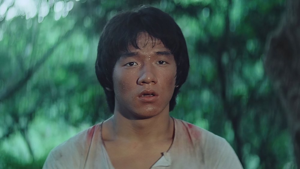 少林木人巷(1976电影)