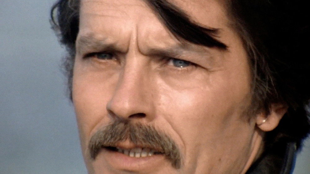 大盗吉普赛,Le Gitan(1975电影)