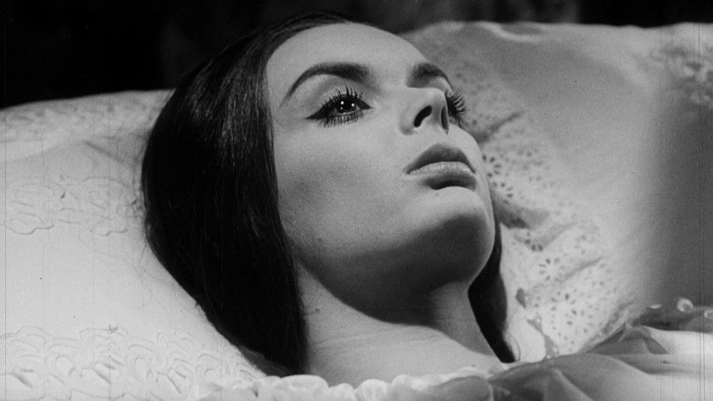 血魔传奇,Danza macabra(1964电影)