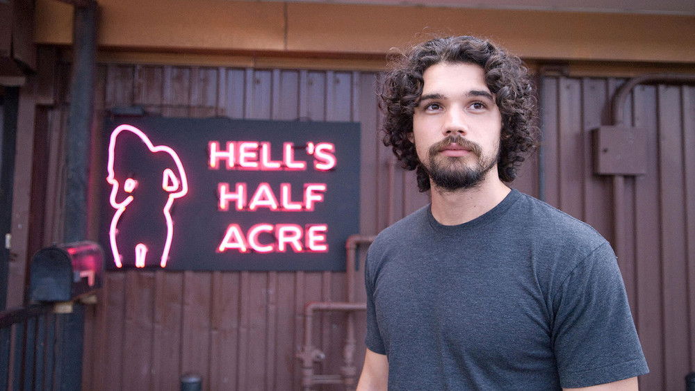 城市岛屿,City Island(2009电影)