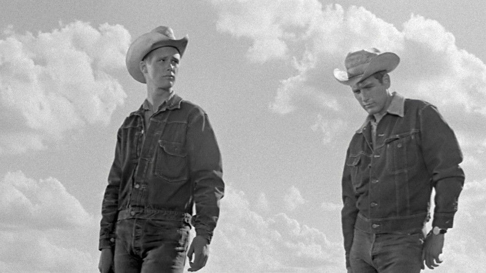 原野铁汉,Hud(1963电影)