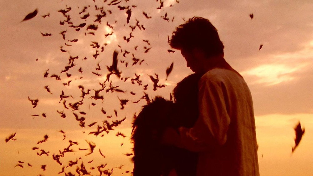 梦旅人,PiCNiC(1996电影)